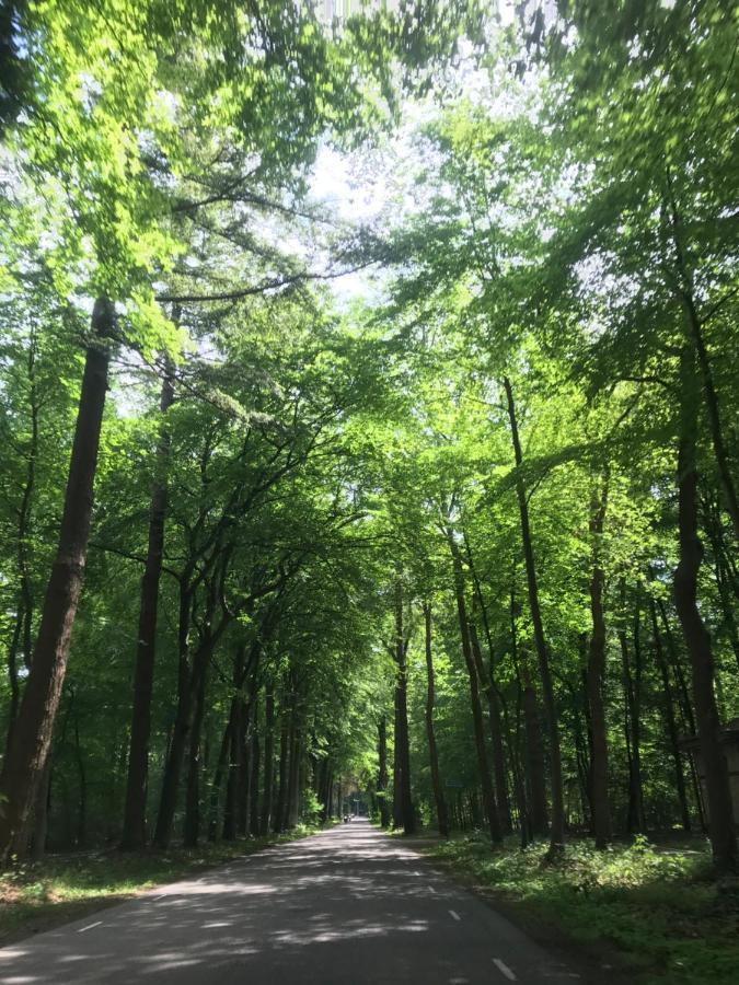 פוטן Uniek Chalet Op De Veluwe, In Bosrijke Omgeving. מראה חיצוני תמונה